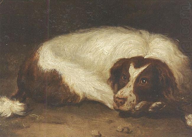 A sporting dog lying down, Johann Christoph Rincklake